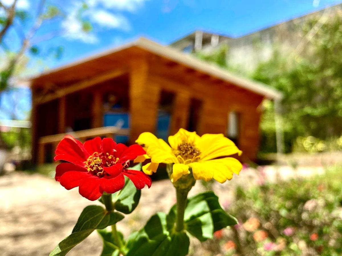 فيلا Hoja Azul Hojancha المظهر الخارجي الصورة